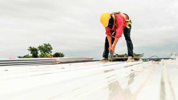 Best Storm Damage Roof Repair  in Rice Lake, WI